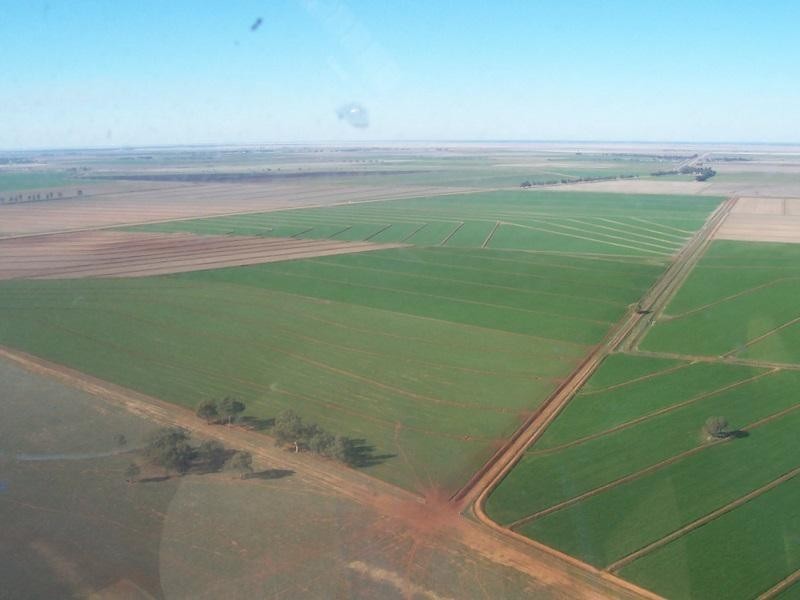 Farms 610 Thurrowa Road, Coleambally NSW 2707