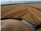 Farms 610 Thurrowa Road, Coleambally NSW 2707