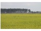 Farms 610 Thurrowa Road, Coleambally NSW 2707