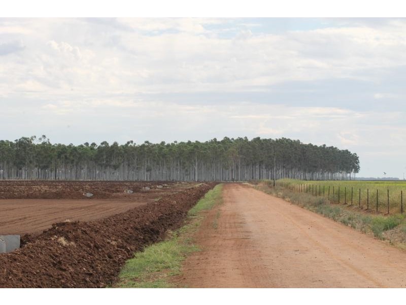 Farms 610 Thurrowa Road, Coleambally NSW 2707
