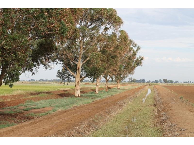 Farms 610 Thurrowa Road, Coleambally NSW 2707