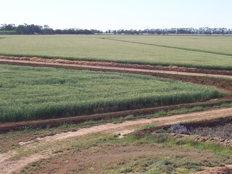 Farms 610 Thurrowa Road, Coleambally NSW 2707