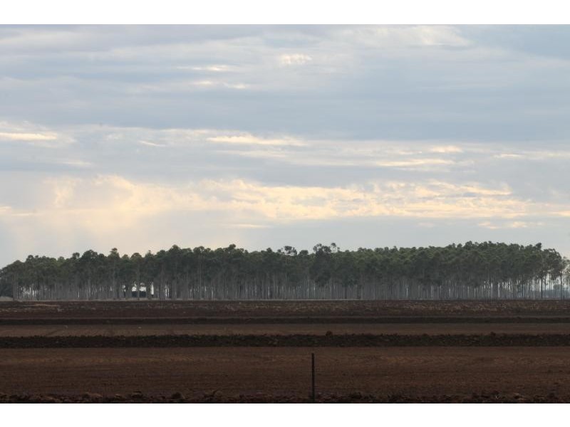 Farms 610 Thurrowa Road, Coleambally NSW 2707