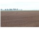Farms 610 Thurrowa Road, Coleambally NSW 2707
