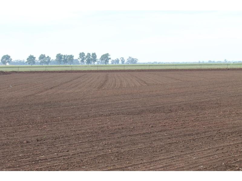 Farms 610 Thurrowa Road, Coleambally NSW 2707