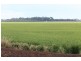 Farms 610 Thurrowa Road, Coleambally NSW 2707