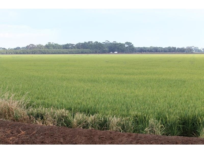 Farms 610 Thurrowa Road, Coleambally NSW 2707