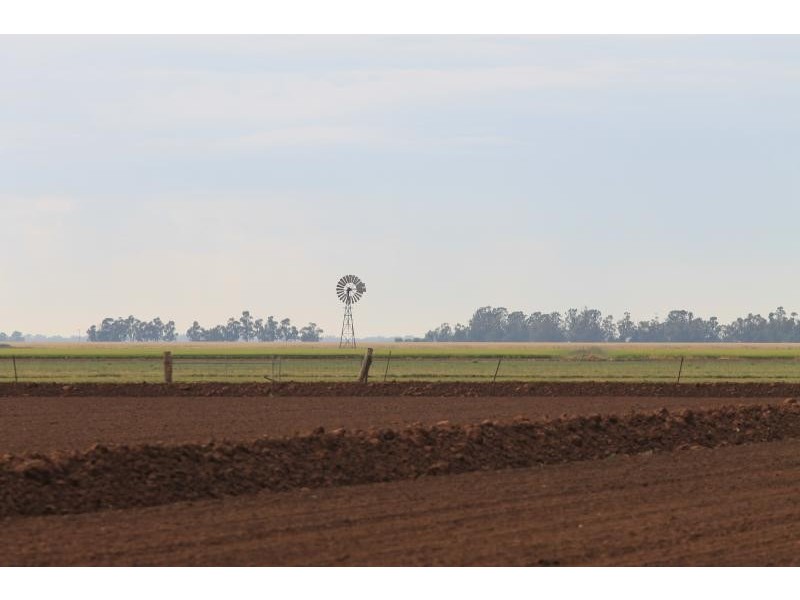 Farms 610 Thurrowa Road, Coleambally NSW 2707