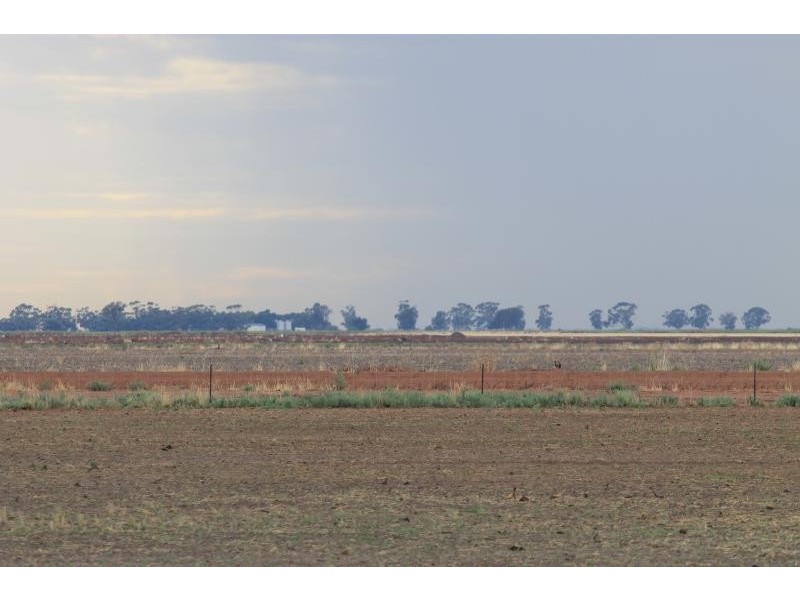 Farms 610 Thurrowa Road, Coleambally NSW 2707