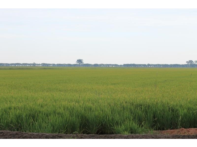 Farms 610 Thurrowa Road, Coleambally NSW 2707