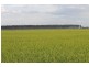Farms 610 Thurrowa Road, Coleambally NSW 2707