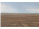 Farms 610 Thurrowa Road, Coleambally NSW 2707