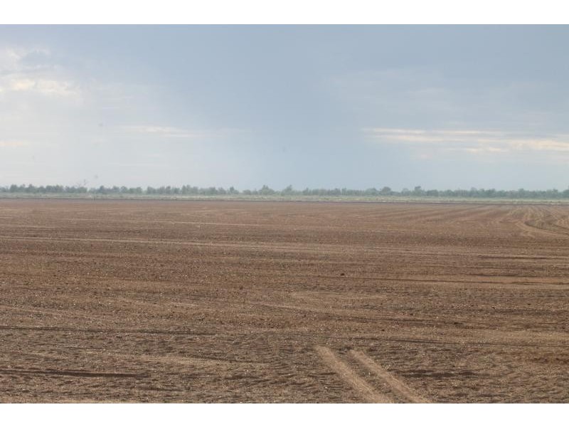 Farms 610 Thurrowa Road, Coleambally NSW 2707