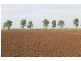 Farms 610 Thurrowa Road, Coleambally NSW 2707