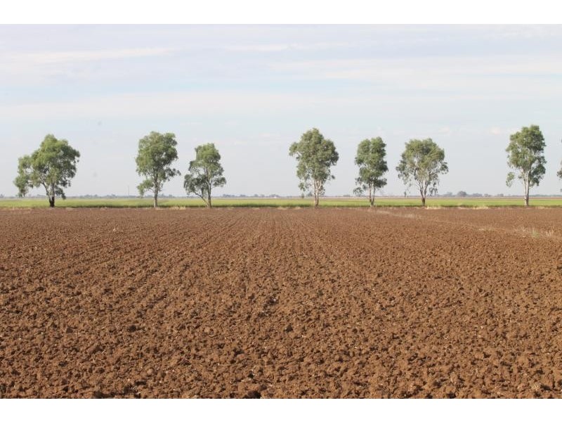 Farms 610 Thurrowa Road, Coleambally NSW 2707