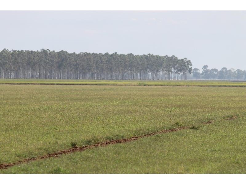 Farms 610 Thurrowa Road, Coleambally NSW 2707