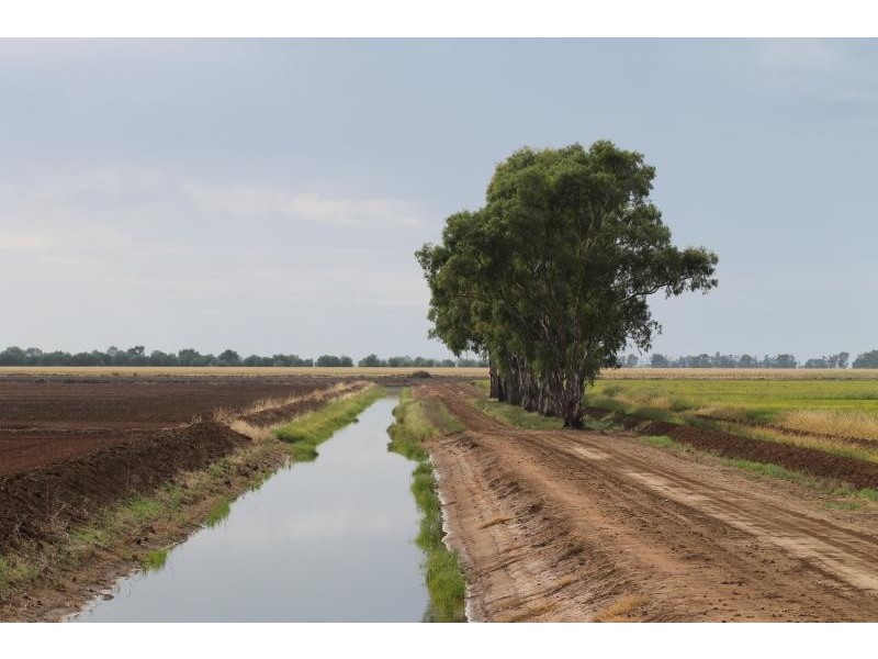 Farms 610 Thurrowa Road, Coleambally NSW 2707