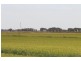 Farms 610 Thurrowa Road, Coleambally NSW 2707