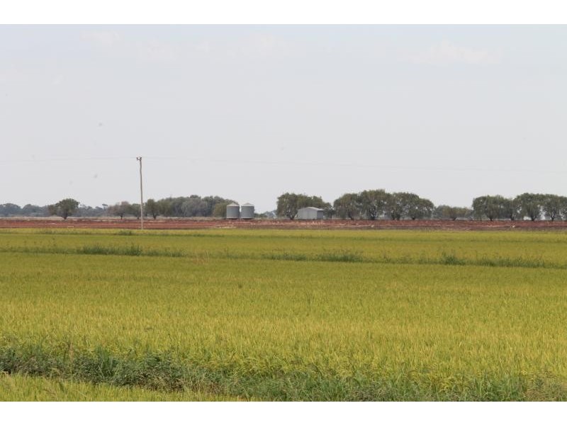 Farms 610 Thurrowa Road, Coleambally NSW 2707