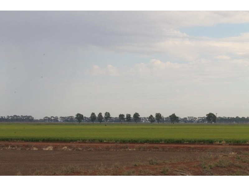 Farms 610 Thurrowa Road, Coleambally NSW 2707