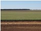 Farms 610 Thurrowa Road, Coleambally NSW 2707