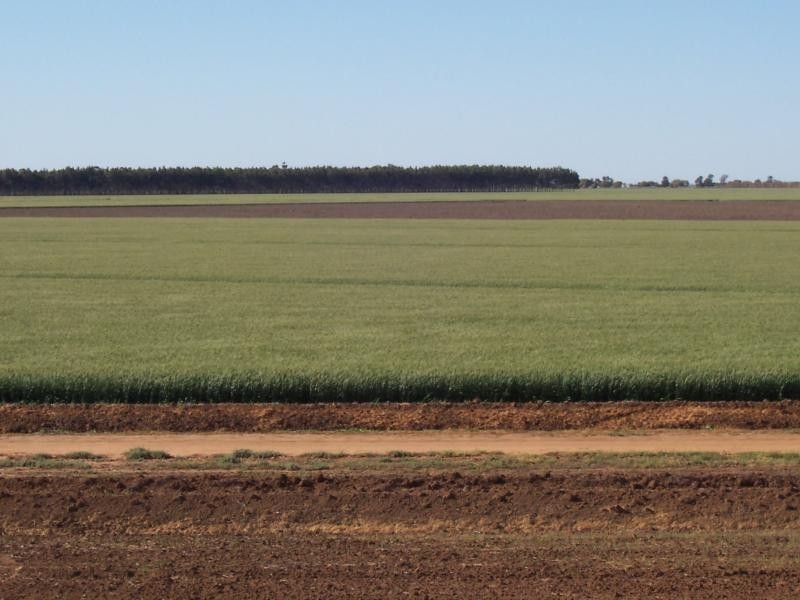 Farms 610 Thurrowa Road, Coleambally NSW 2707