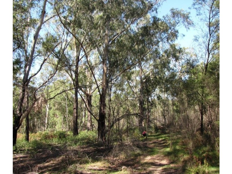 416 Maulbrook Road, Mogo NSW 2536