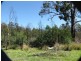 416 Maulbrook Road, Mogo NSW 2536