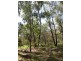 416 Maulbrook Road, Mogo NSW 2536