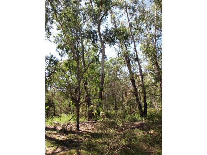 416 Maulbrook Road, Mogo NSW 2536