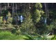1560 Princess  Highway, Bimbimbie NSW 2536