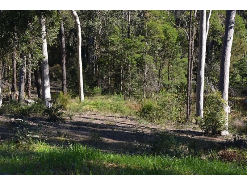 1560 Princess  Highway, Bimbimbie NSW 2536