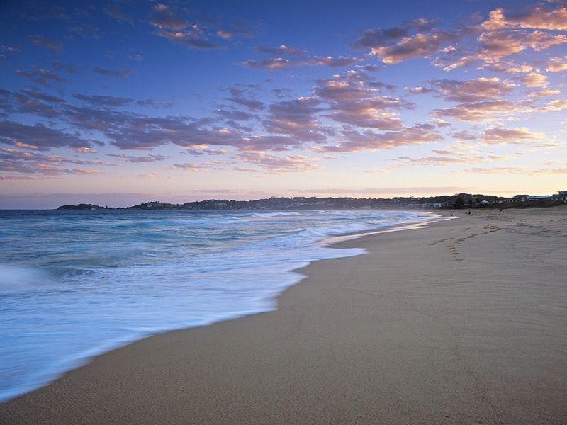 8 Aldinga Drive WAMBERAL 2260, Wamberal NSW 2260
