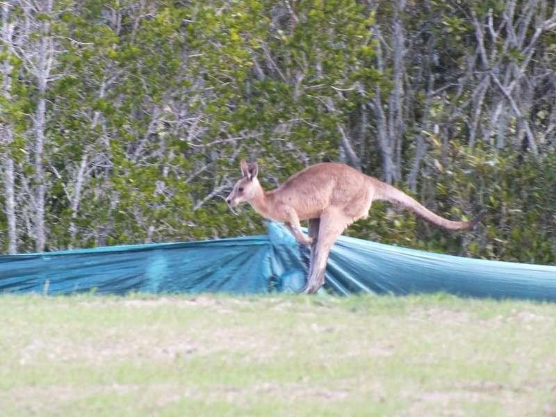 Lot 8 New Development, Point Vernon QLD 4655