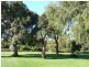 Hookings Road TANTANOOLA 5280, Tantanoola SA 5280