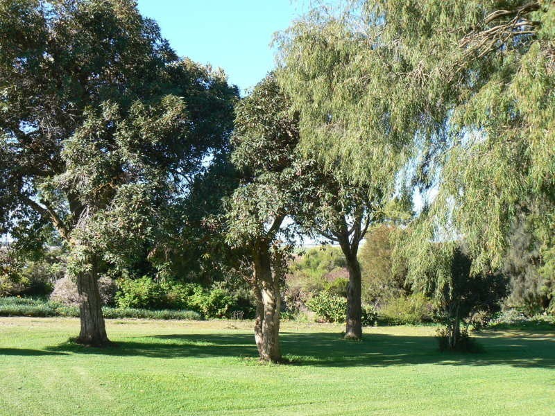 Hookings Road TANTANOOLA 5280, Tantanoola SA 5280