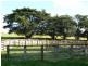 Hookings Road TANTANOOLA 5280, Tantanoola SA 5280