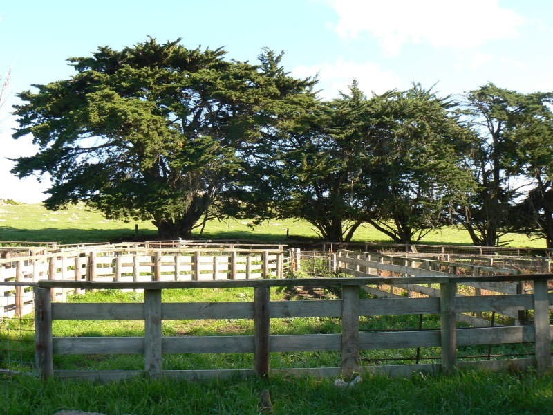 Hookings Road TANTANOOLA 5280, Tantanoola SA 5280