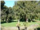 Hookings Road TANTANOOLA 5280, Tantanoola SA 5280