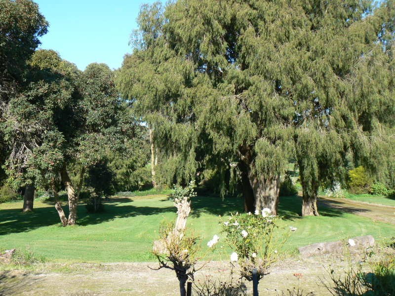 Hookings Road TANTANOOLA 5280, Tantanoola SA 5280