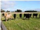 Moorak  MOUNT GAMBIER 5291, Mount Gambier SA 5291