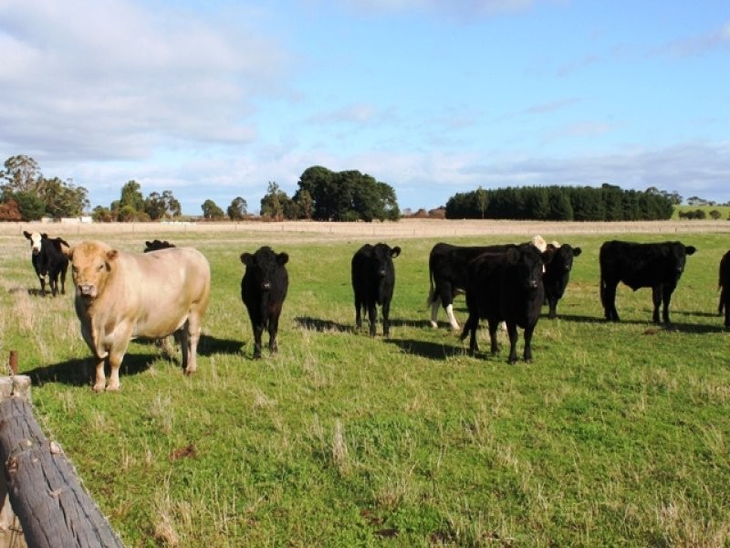 Moorak  MOUNT GAMBIER 5291, Mount Gambier SA 5291