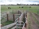 Moorak  MOUNT GAMBIER 5291, Mount Gambier SA 5291