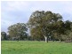 Brooksby Road  WATTLE RANGE EAST 5279, Wattle Range East SA 5279