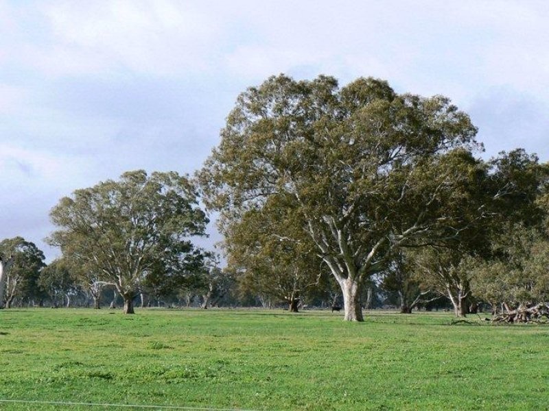 Brooksby Road  WATTLE RANGE EAST 5279, Wattle Range East SA 5279