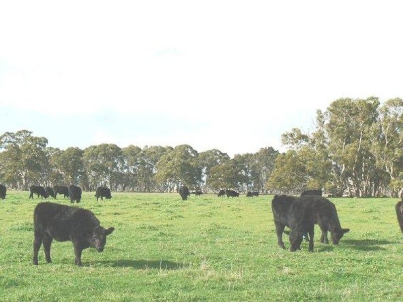 Brooksby Road  WATTLE RANGE EAST 5279, Wattle Range East SA 5279