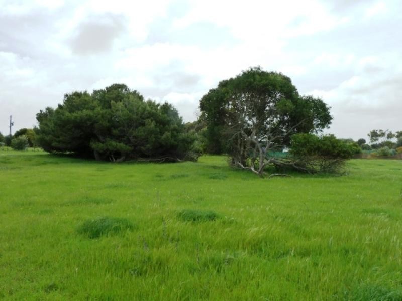lot 26 Sutherland Drive BEACHPORT 5280, Beachport SA 5280