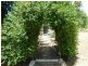 11 Camp Street CLUNES 3370, Clunes VIC 3370