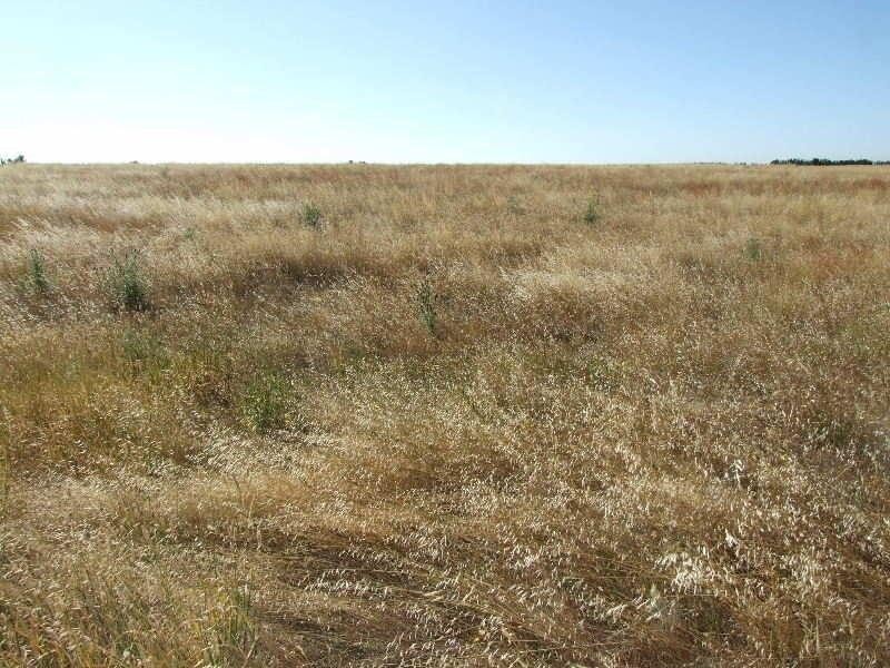 45 Dickson Road CLUNES 3370, Clunes VIC 3370