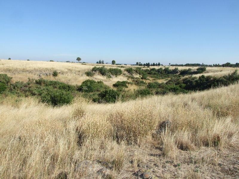 45 Dickson Road CLUNES 3370, Clunes VIC 3370